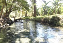 Reserva Natural Laguna Mecatepe