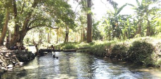 Reserva Natural Laguna Mecatepe