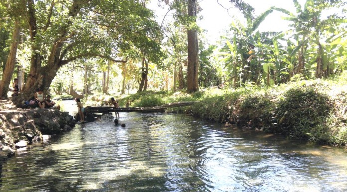 Reserva Natural Laguna Mecatepe