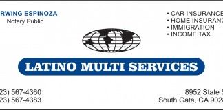 Latino Multi Services