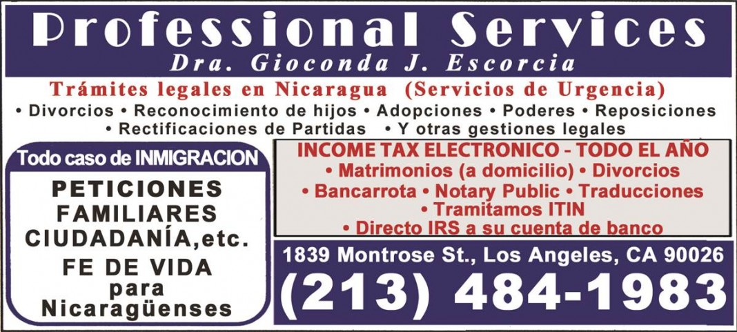 Professional Services