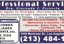 Professional Services