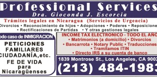 Professional Services