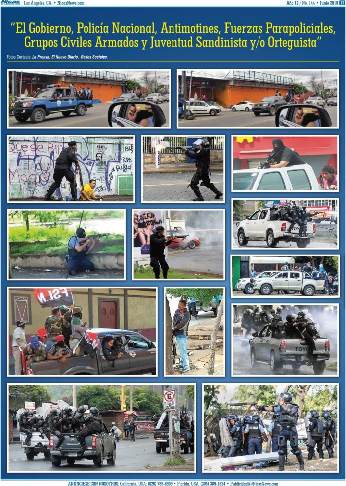 Junio 2018 – Página 13