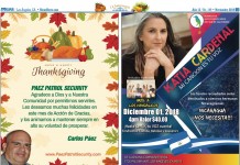 Noviembre 2018 – Página 13