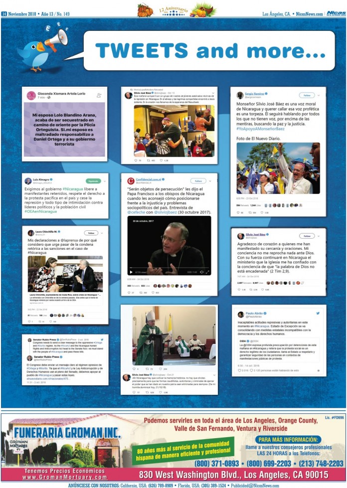 Noviembre 2018 – Página 14