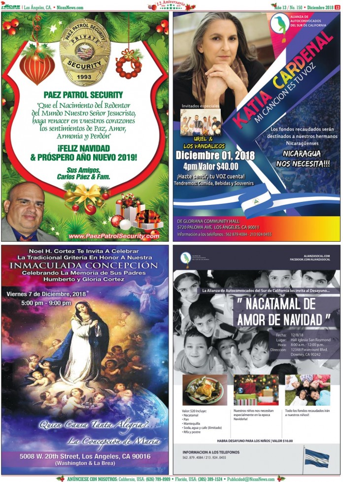 Diciembre 2018 – Página 13