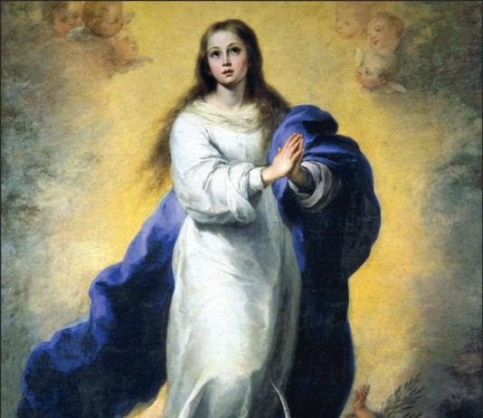 Inmaculada Concepción de María