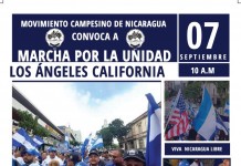 Marcha por la Unidad - Los Angeles, California