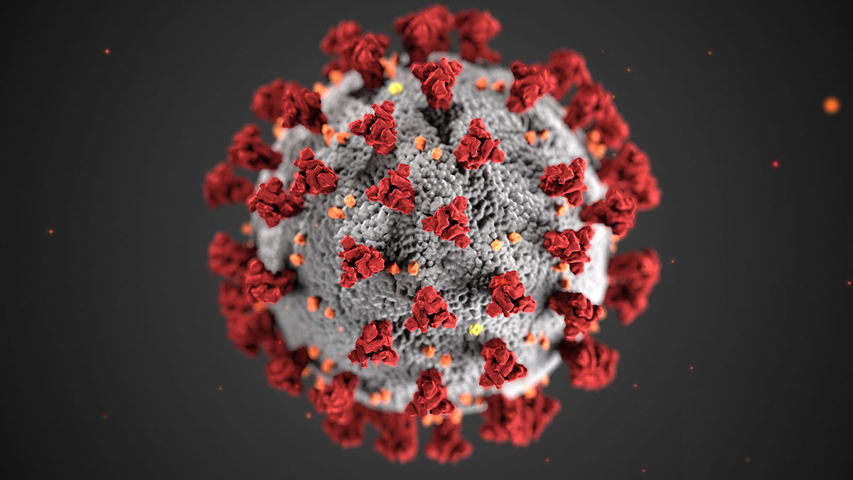 Coronavirus - Covid-19