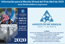 Amigos De Nicaragua Azul Y Blanco