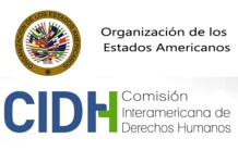 Comisión Interamericana de Derechos Humanos (CIDH)