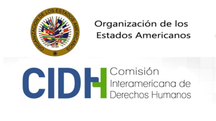 Comisión Interamericana de Derechos Humanos (CIDH)