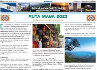 Enero 2023 – Página 16