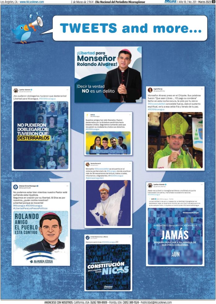 Marzo 2023 – Página 13