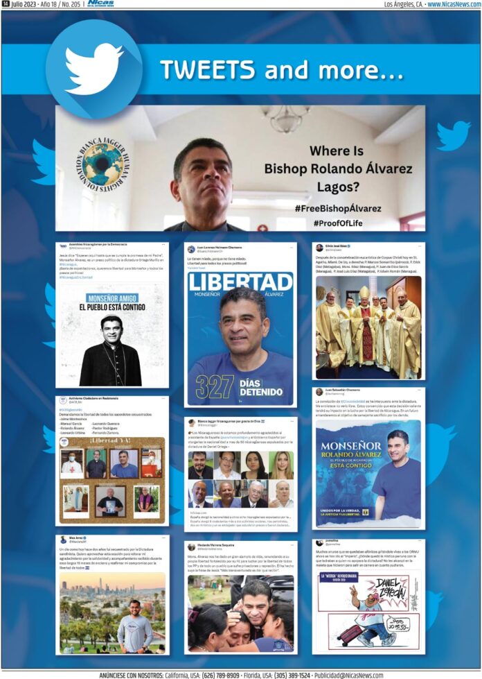 Julio 2023 – Página 14