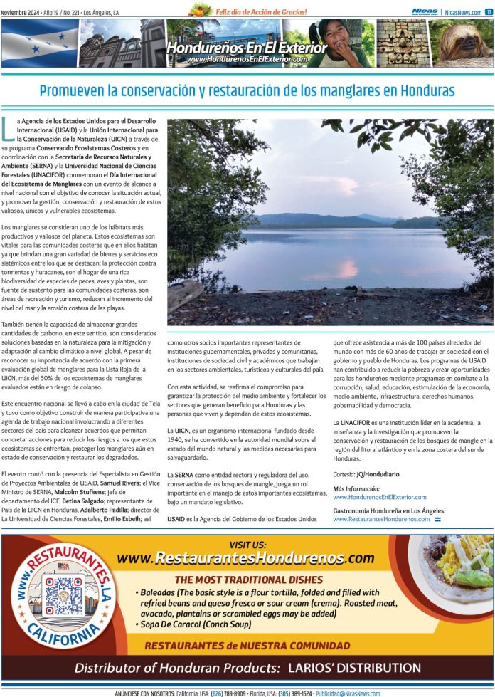 Noviembre 2024 – Página 17