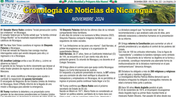 Diciembre 2024 – Página 8