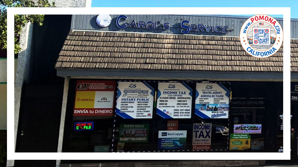 CAROL'S SERVICES LLC CAROL'S SERVICES LLC