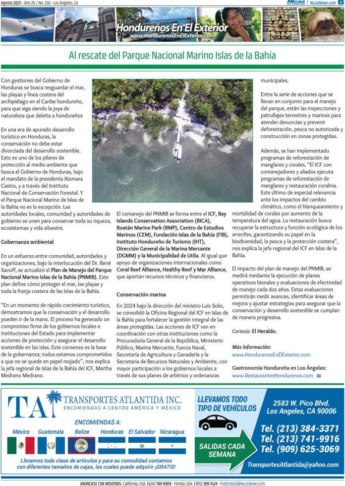 Agosto 2025 – Página 17