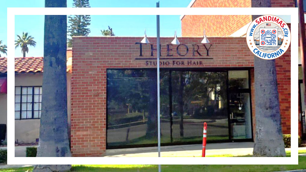 THEORY STUDIO FOR HAIR