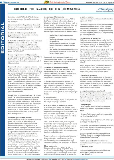 Noviembre 2025 – Página 6