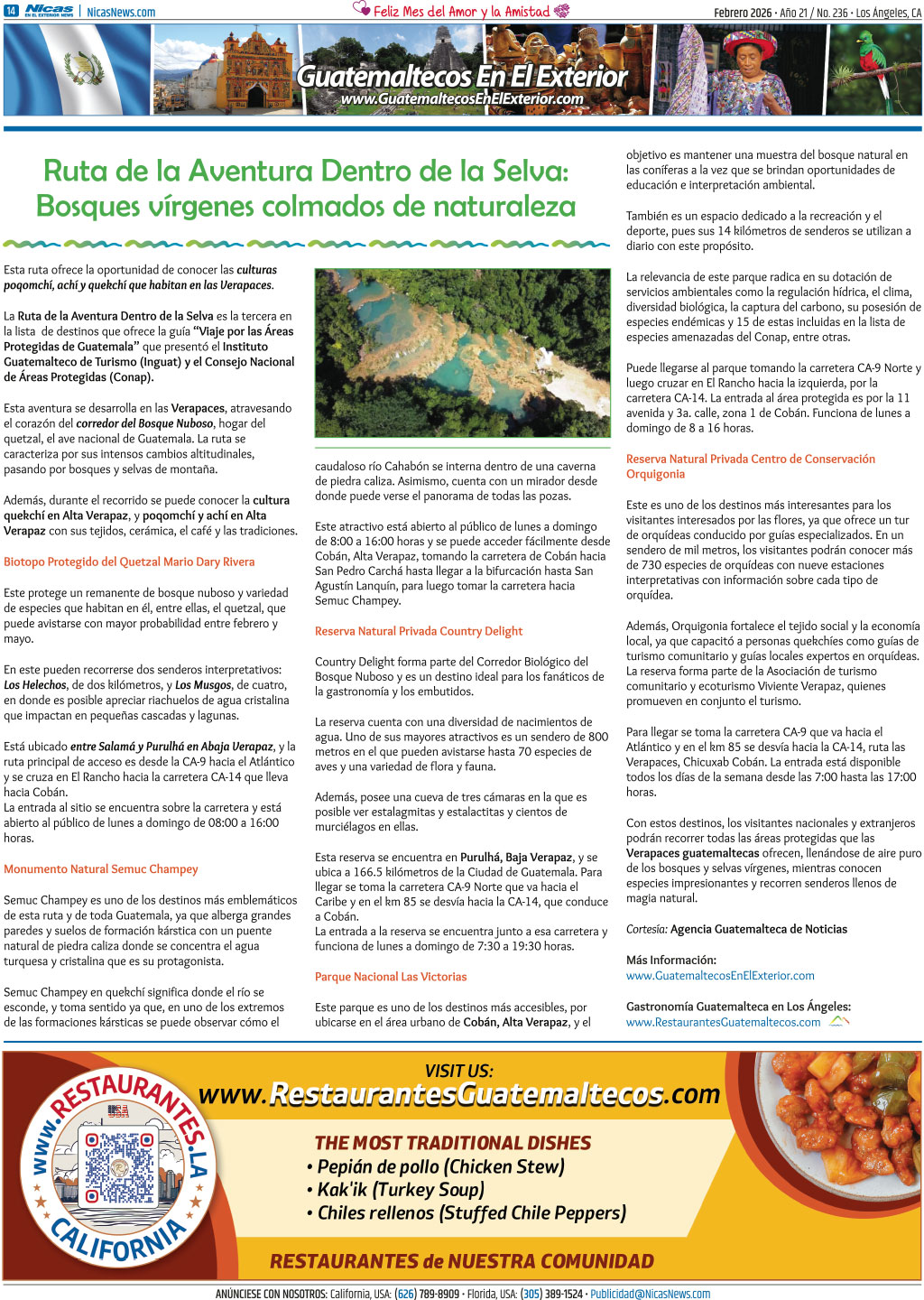 Febrero 2026 – Página 14