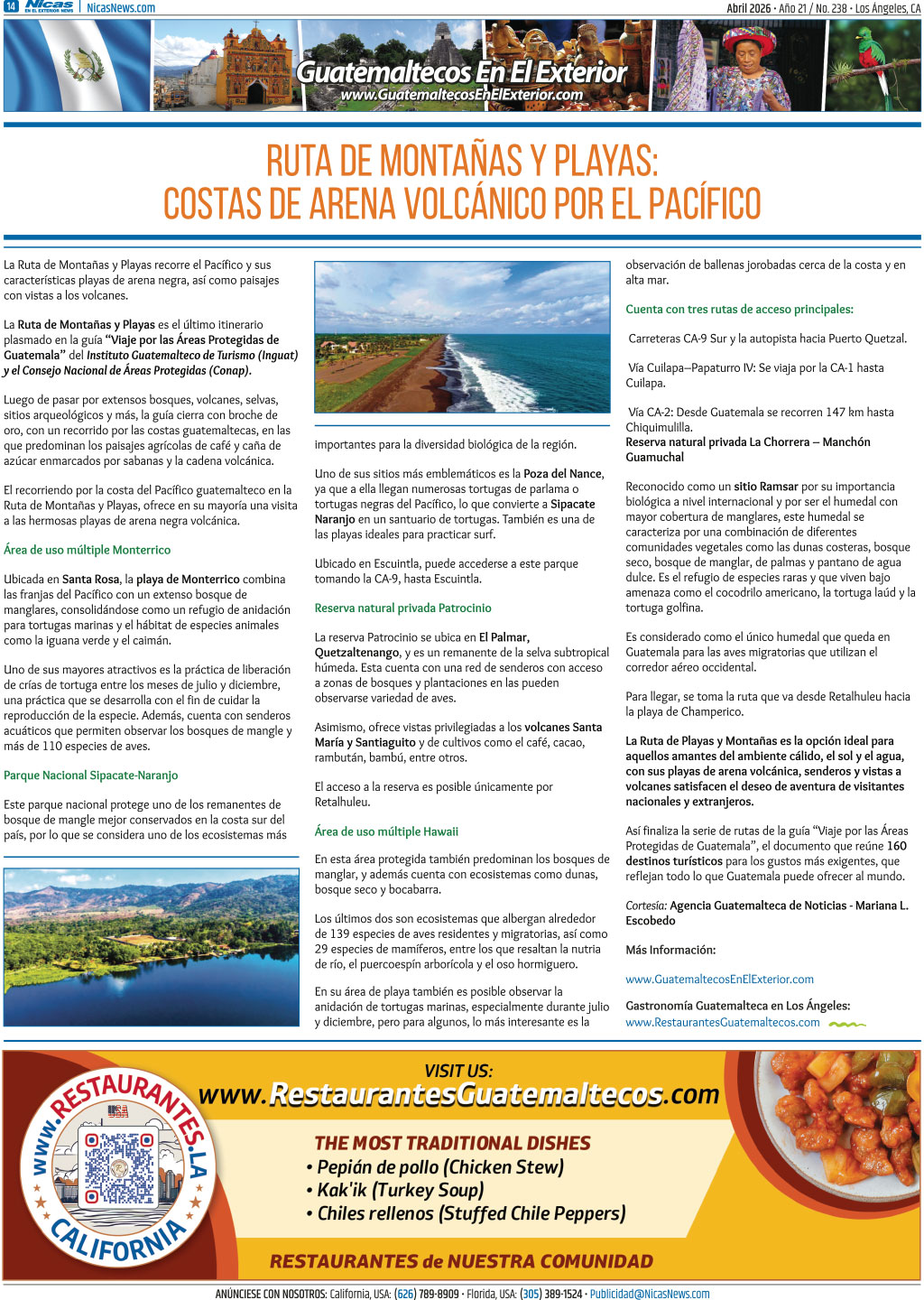 Abril 2026 – Página 14