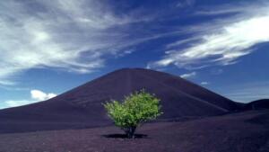 volcan-cerro-negro00006